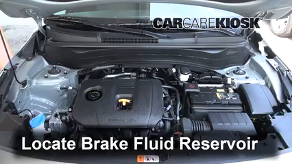 2021 Kia Seltos S 2.0L 4 Cyl. Brake Fluid Add Fluid